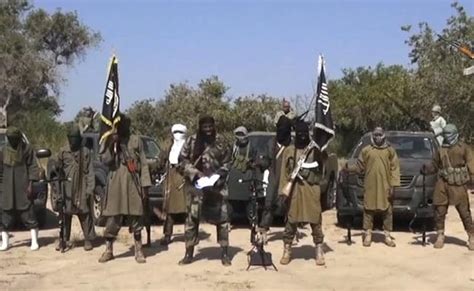 Chadian Soldiers Killed 207 Boko Haram Fighters In Nigeria Army