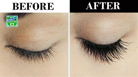 How To Grow Thicker Eyelashes Naturally Youtube