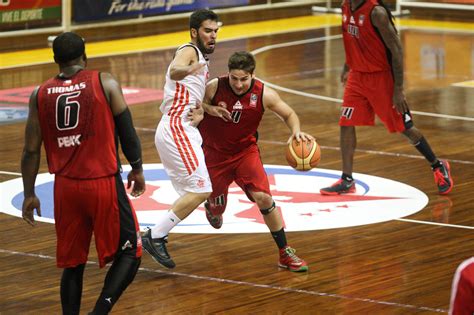 Leones De Quilpu Participa Desde Esta Noche En Cuadrangular