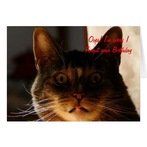 Belated Birthday CAT Card | Zazzle