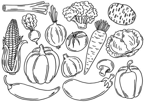 Set Of Black Outline Vegetable Icons Hand Drawn Drawings Of Carrot