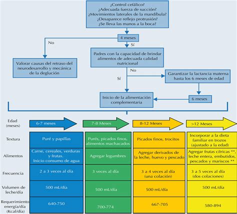 Actualidades en alimentación complementaria