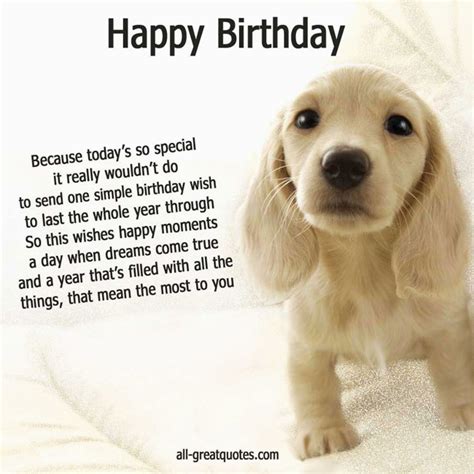 Dog Birthday Card Sayings | BirthdayBuzz