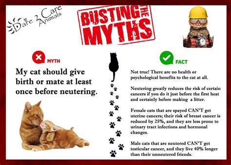 7 Sax VDE Myths Debunked: Expert Insights You Need To Know NOW Image 14