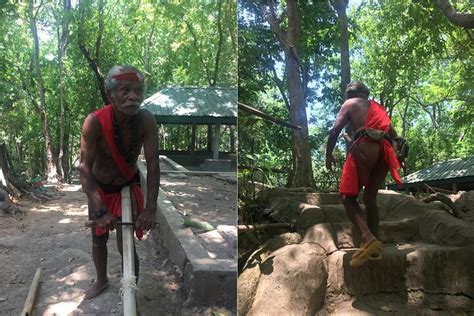 Indigenous Forest Experience Manila 2023 In Manila Philippines Trip
