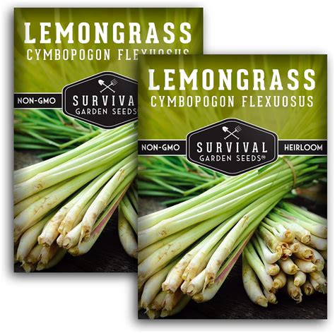 Survival Garden Seeds Lemongrass Seed For Planting 2 Packs With Instructions To