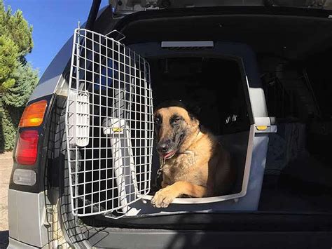 Usar Transportin Para Perros En El Coche Mascotas