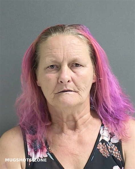 BRIGGS KATHY M 09 08 2023 Volusia County Mugshots Zone