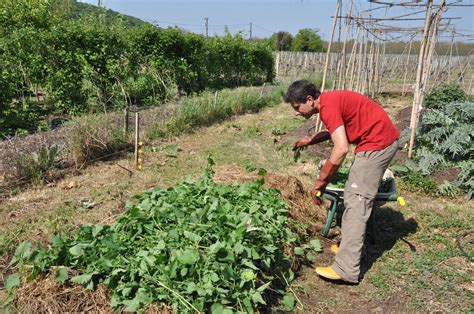 Le potager en lasagne Les Jardins de Noé