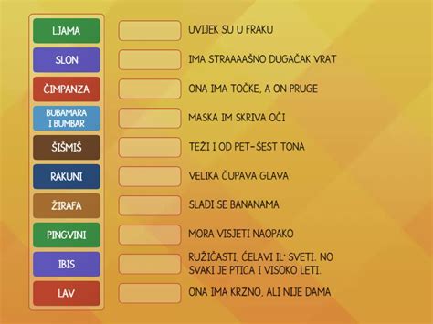 Ivotinjska Abeceda Match Up