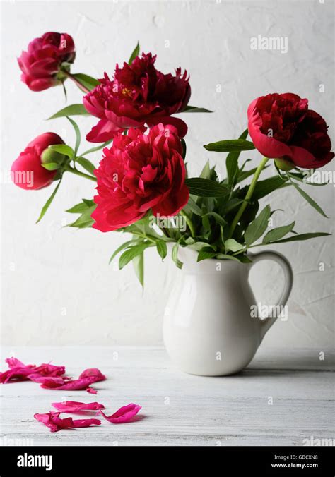 Vase Flowers Hi Res Stock Photography And Images Alamy