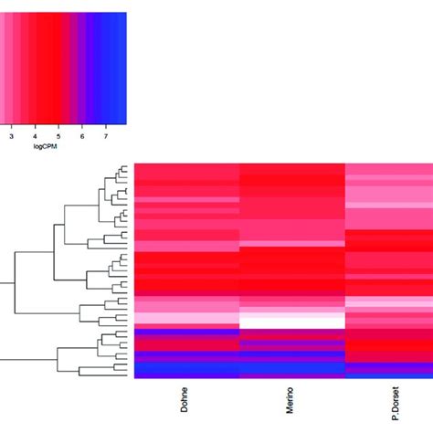 Cluster Heat Map Comparing Differentially Expressed Genes Between Download Scientific Diagram