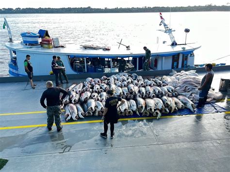 Base Arpão apreende mais de 9 toneladas de pescado em Coari