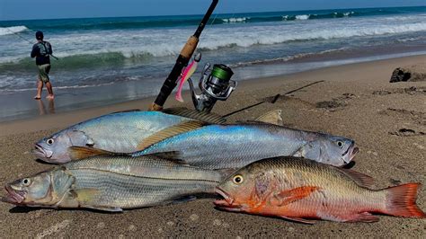 Como Pescar De Orilla Pesca De RÓbalos Corvinas Y Pargos De Playa