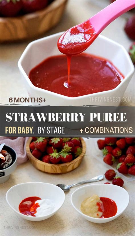 Strawberry Puree For Baby Combination Ideas Thrivingnest