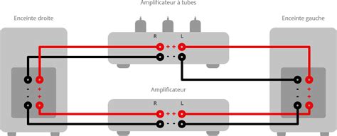 couverture Moelle Plus précisément brancher 4 enceintes sur un ampli