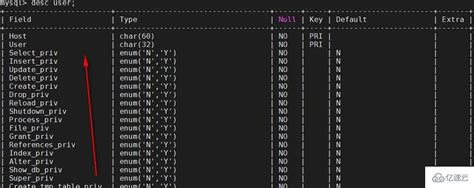 Mysql User Mysql