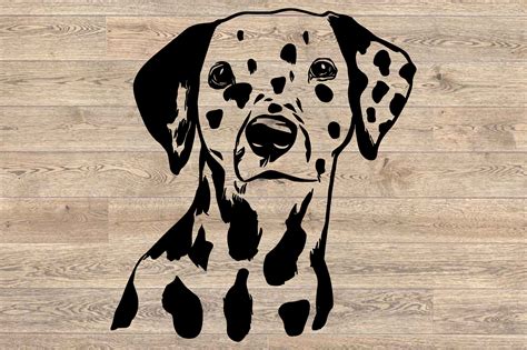 Dalmatian Dog Head Silhouette Svg Cutting Files 1689s By Hamhamart