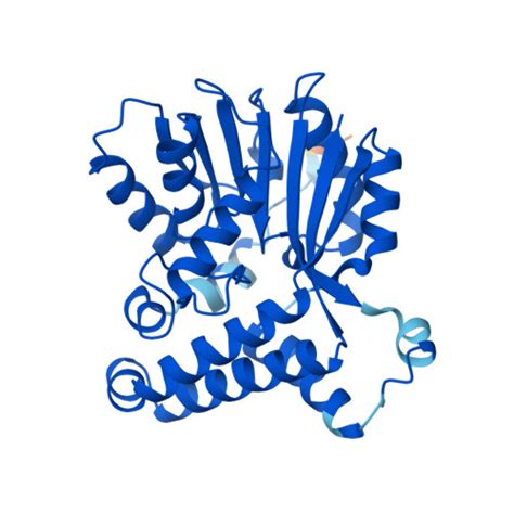 Rcsb Pdb Af Afp Wpb F Computed Structure Model Of Cyclopropane