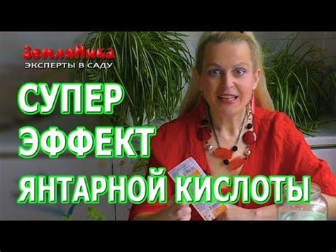 Янтарная кислота как стимулятор роста рассады растений | Сайт о саде ...