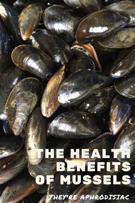 Mussels Benefits Aphrodisiac Use Eat Something Sexy