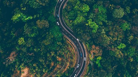 Download Wallpaper 1920x1080 Road Highway Nature Trees Aerial View