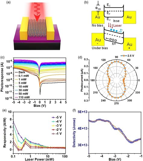 a Schematic diagram of multilayer γInSe polarized photodetector b