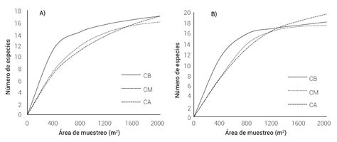 Estructura Y Distribución Espacial De La Repoblación Y Diversidad Del