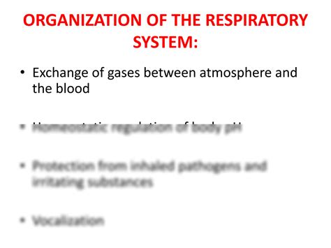 SOLUTION: Physiology of human respiratory system - Studypool