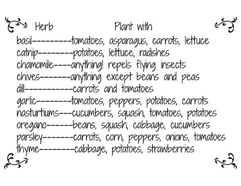 The Ultimate Guide To Planting Herbs Together A Chart Of The Best Herb