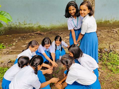 Clubs Welcome To Carmel School Digwadih Dhanbad