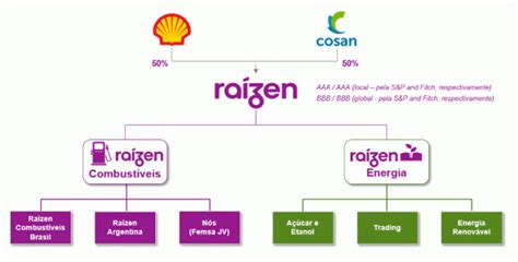 Ipo Raízen Raiz4 Vale A Pena Entrar