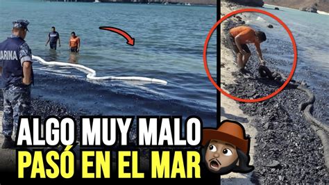 No Vas A Creer Lo Que Le Acaban De Hacer A La Playa M S Bonita Youtube