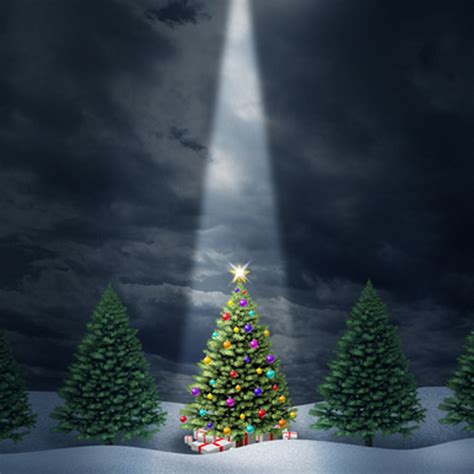 Attractive Christmas Trees Backgrounds Fashion Stage Backgrounds Vinyl