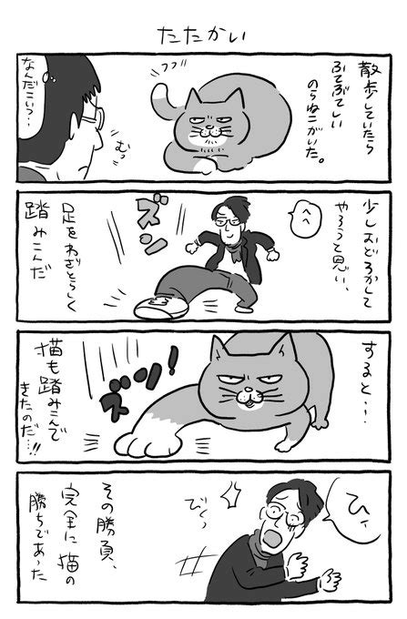 皆さんも強そうな猫には気を付けてください。 やじまねこおじアニメ放送中🐱📺 さんのマンガ ツイコミ仮