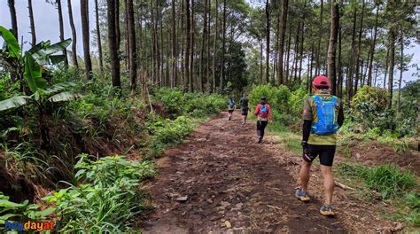 Trail Running Bukit Budug Asu Via Kebun Teh Wonosari Laman 3 Dari 3