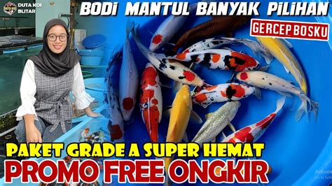 Promo Free Ongkir Paket Koi Grade A Super Hemat Berbagai Jenis Ada