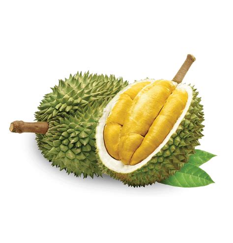 Musang King Fresh Durian - Serene Orchard