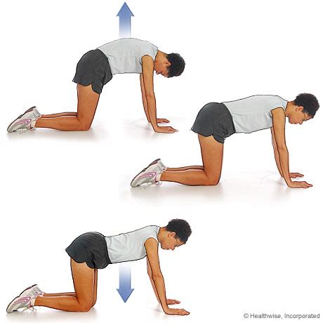 Health & Fitness: Ankylosing Spondylitis Exercises