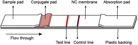 Frontiers Development Of A Colloidal Gold Based Immunochromatographic