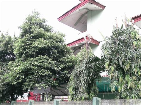 SMKN 12 JAKARTA - annibuku.com