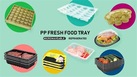 Supermarket Biodegradable Disposable Take Away Custom Blister Tray Food