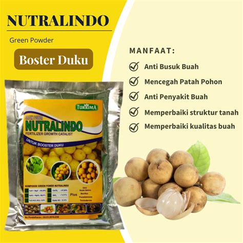 Jual Pupuk Untuk Pohon Duku Nutrisi Buah Duku Pupuk Tanaman Duku Agar