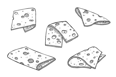 Premium Vector Hand Drawn Set Of Cheese Parts And Slices Cheese Icon