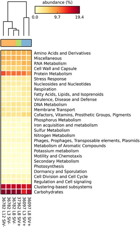 Hierarchical Clustering And Heatmap Based On Functional Annotations