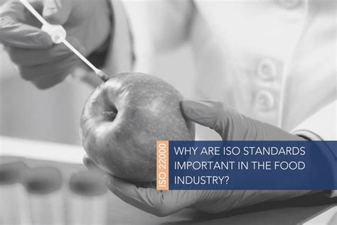 Why Are ISO Standards Important In The Food Industry IMSM IE