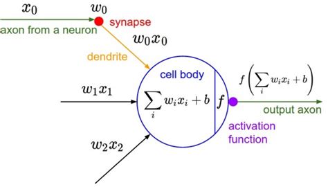 Neural Networks Representation