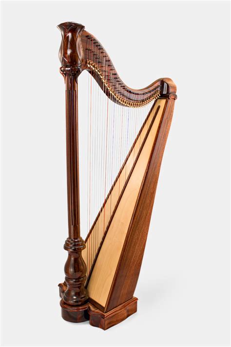 Harps Learning The Harp