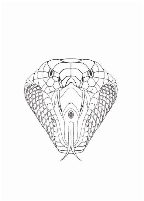 How To Draw A Snake Head