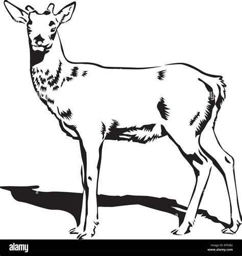 Doe Wiki Bookmarks At Jack Black Blog